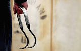 Wool Bale Hook Chrome